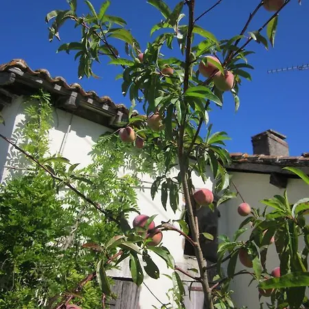 Chez Le Brun Esse